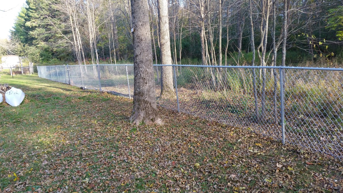 Chain Link Fence Project